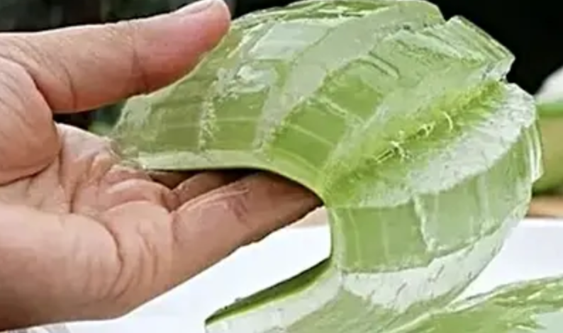 एलोवेरा